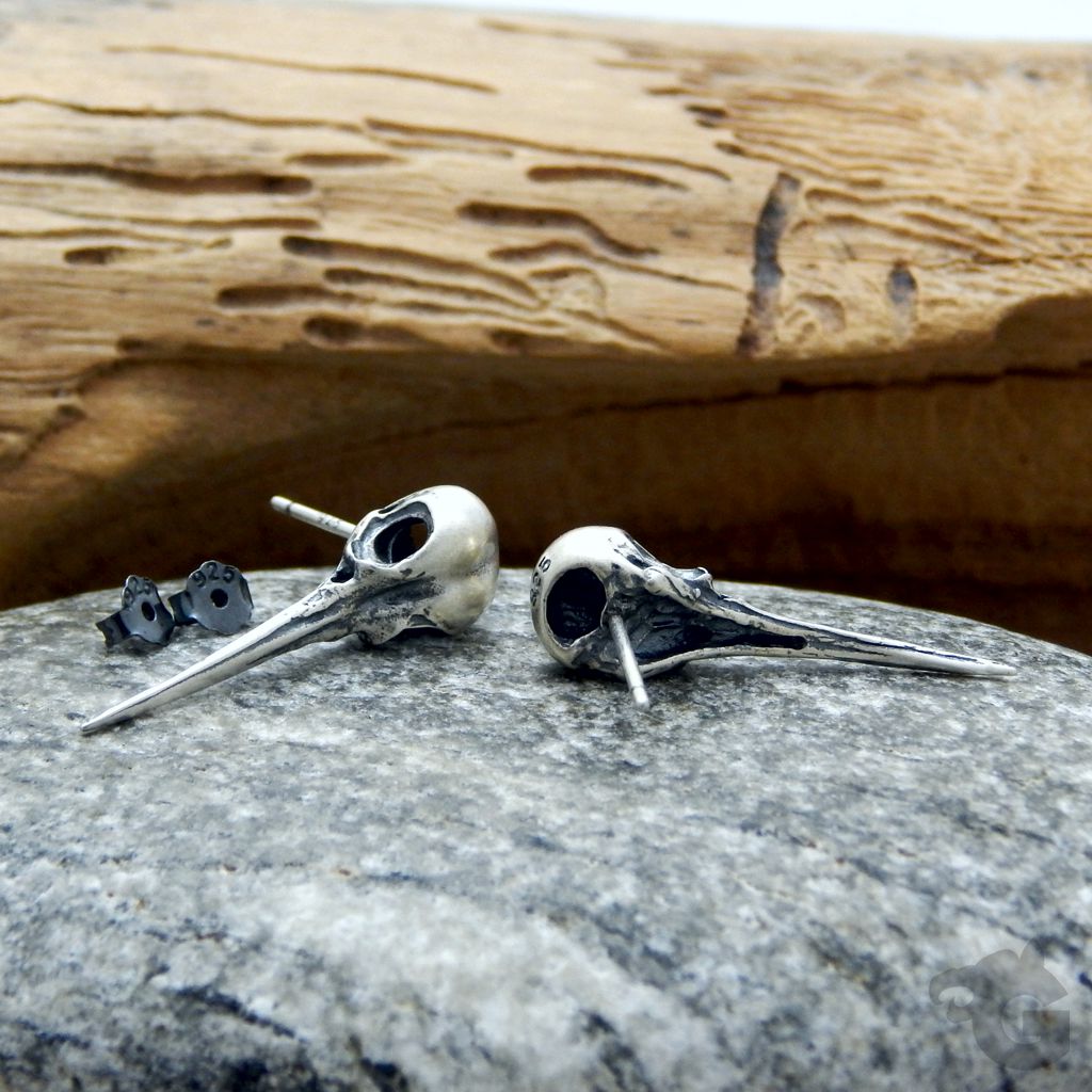 hummingbird studs