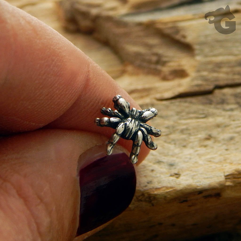 'Tarantula Fear Me Not' stud earrings